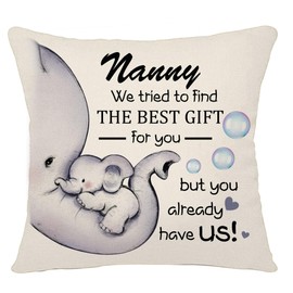 Bacmaxom Nanny Cushion Cover - Reminder Throw Pillow for Nanny, Mother's Day Gift