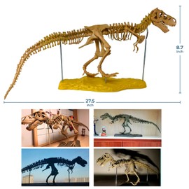 Toysvill Archaeological Big Fossil Dinosaur Skeleton, DIY, 3D Puzzle 60 pcs [Realistic Tyrannosaurus Rex Model]