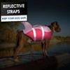 AOFITEE Small Dog Life Jacket, Shark for Swimming, High Flotation