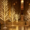 Fudios Lighted Branches Plug in 32IN 200 LED Mantle Winter