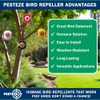 PESTEZE USA Bird Deterrent for Pool Predator Eye Balloon Repellent,