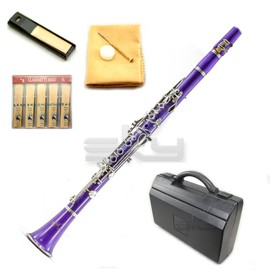 Sky SKYCL201-PR Purple ABS BB Clarinet with Case