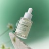 The Lab by Blanc Do Green Pla Pore Cleansing Soothing