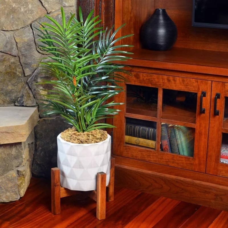 Mosser Lee Sphagnum Peat Long Fibered Moss ORCHID Mosser Lee