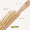 Kent Narrow, White Bristle Brush - LS1 (PACK OF 1)