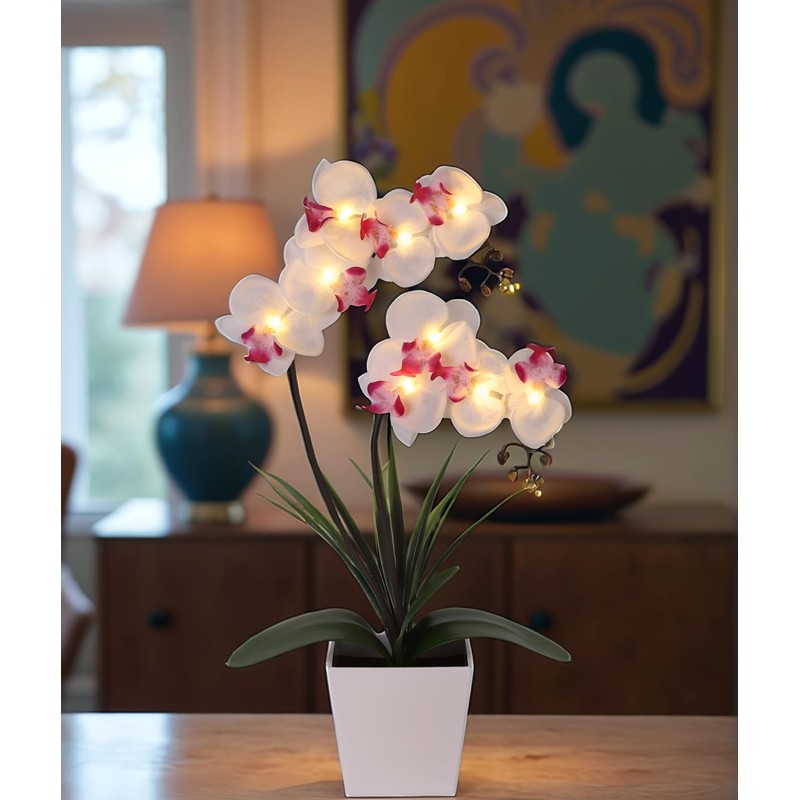 HOMESEASONS Orchid Lamp-LED Lighted Orchid Arrangements,Pre Lit Artificial Orchid,Light Up