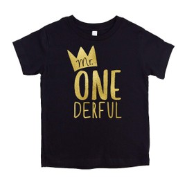 Mr One-Derful Baseball Tee Shirt for Boys 1st Birthday Shirt