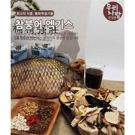 Our Love Health Center Our Love Carp Juice 120ml 120 Packs / 우리사랑건강원우리사랑붕어즙120ml120팩