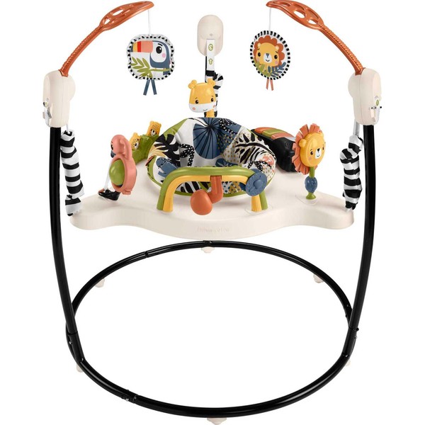 Fisher-Price Baby Bouncer Palm Paradise Jumperoo Activity Center with Music