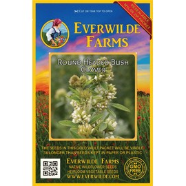 Everwilde Farms - 1 Oz Round-Headed Bush Clover Native Wildflower Seeds - Gold Vault