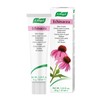A.Vogel Echinacea Cream | Daily Face Moisturiser | Suitable for