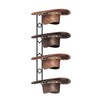 BEGULF 4 Pieces Cowboy Hat Organizer Hangers for Wall, BEGULF
