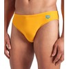 Arena Men's SANTAMARIAS R Brief, Parrot-Turquoise, 48