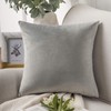 Phantoscope Decorative Soft Velvet Series Mist Grey Throw Pillow Case