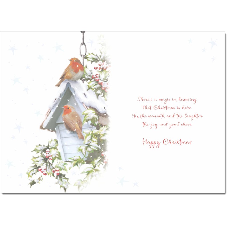 doodlecards Niece Christmas Card Two Robins in Snow Medium Size