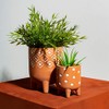 Sass & Belle Polka Dot Leggy Planter
