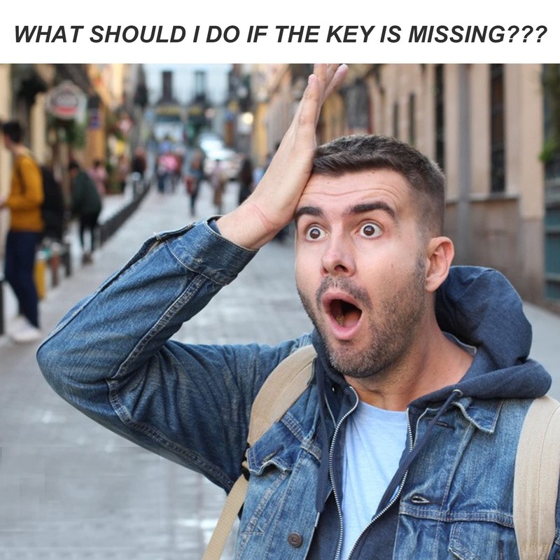 Hide A Key Holder Outdoor Natural Rock, Safe for Outdoor