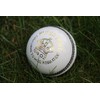 Cricket Ball - White Leather Match Quality (Adult Men's)