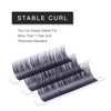 TDANCE Premium D Curl 0.18mm Thickness Semi Permanent Individual Eyelash