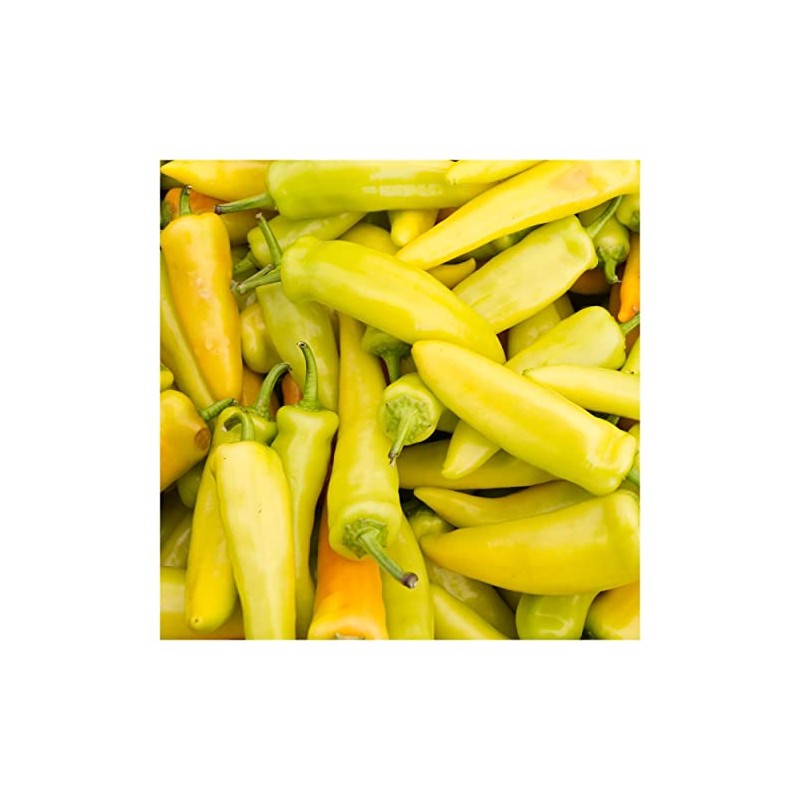 Everwilde Farms - 1/4 Lb Hungarian Wax Hot Hot Pepper