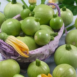 Ronde de Nice Summer Squash Seeds - 4 g Packet ~20 Seeds - Non-GMO, Heirloom - Vegetable Garden - Cucurbita Pepo