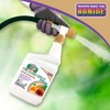 Bonide Captain Jack's Citrus, Fruit & Nut Orchard Spray, 32