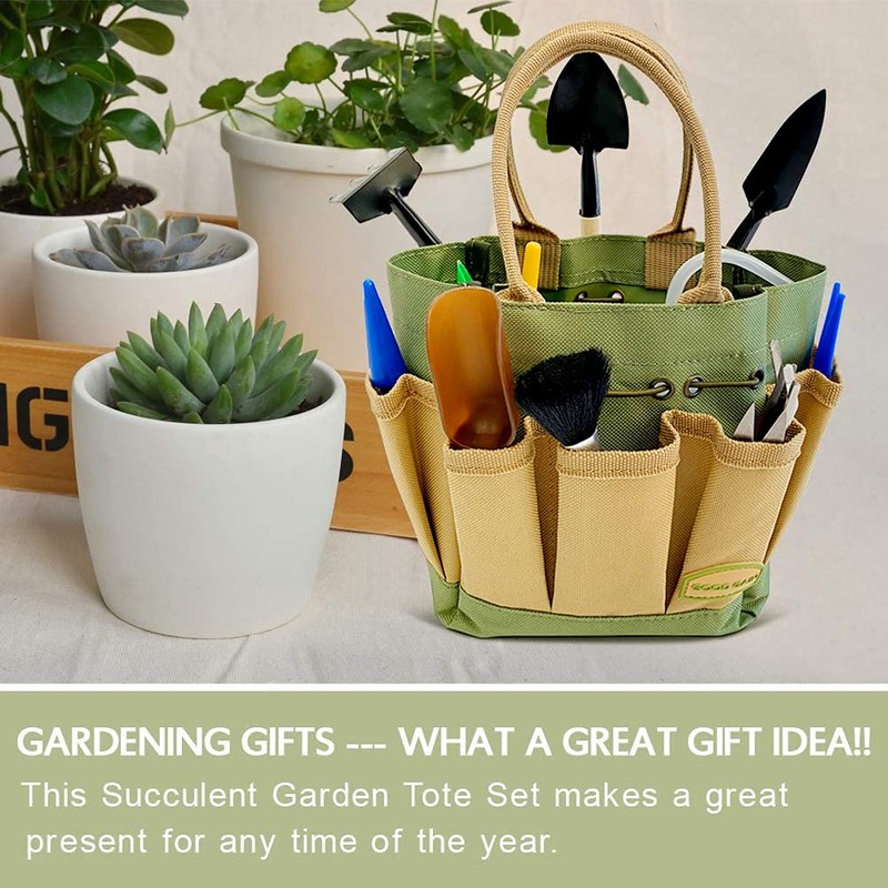 G GOOD GAIN Garden Succulent Kit with Organizer Bag, 14