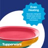 Tupperware Brand Microwave Reheatable Luncheon Plates - Dishwasher & Microwave