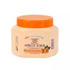 Organia 오가니아 에코살롱 살구 스크럽 마사지크림 500g Organia Eco Salon Apricot Scrub Massage Cream 500g [Basic Product]