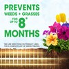 Roundup Weed Barrier Granules for Weed Prevention, 5.37 lbs.
