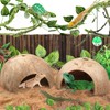 QUOZUO Crested Gecko Tank Accessories, Reptile Climbing Vines Hanging Plants