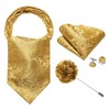 YOHOWA Mens Ascot Tie Cravat Set Paisley Gold Scarf Neckties
