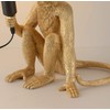 CHABEI Modern Table Light, Monkey Desk Lamp, Resin Sitting Monkey