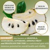 Soursop Leaves & Soursop Fruit Gummies Sugar Free - 3000mg