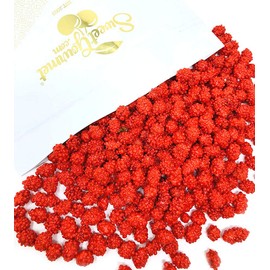 SweetGourmet French Burnt Peanuts | Red Candy Spanish Peanuts | Old Fashioned Sweet and Salty Snack | Kosher | 2 pounds