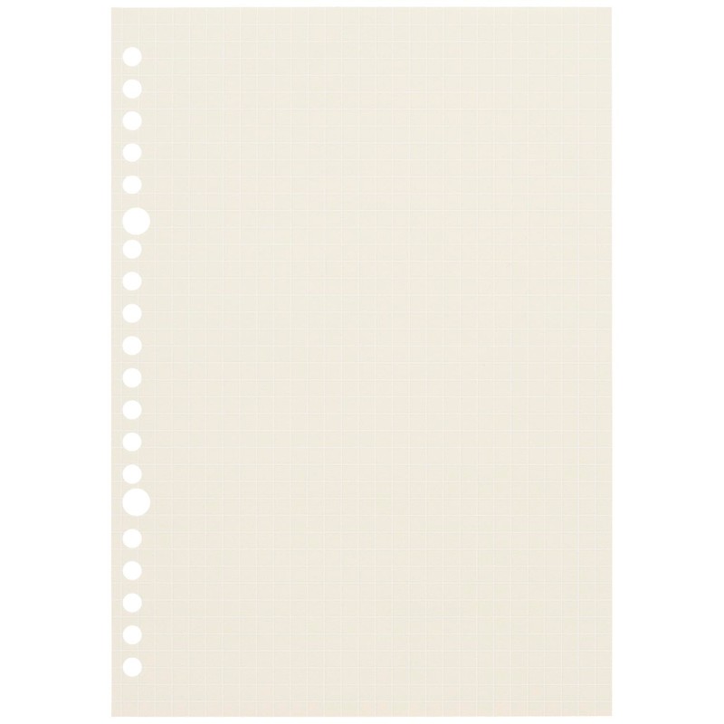 Maruman B5 L1232-99 Loose Leaf Dull Color Assortment, 0.2 inch