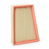 RIDEX 8A0251 Air Filter with Pre-Filter Compatible with Renault Megane