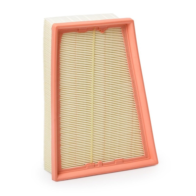 RIDEX 8A0251 Air Filter with Pre-Filter Compatible with Renault Megane