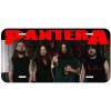 Pantera Novelty Car License Plate