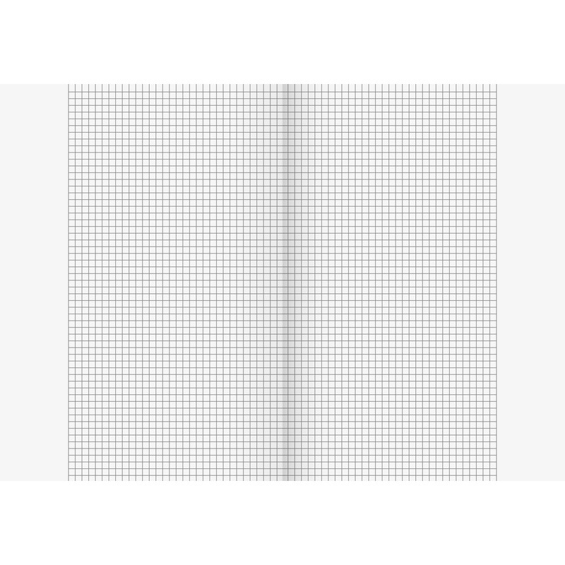 Brunnen A4 exercise book (16 sheets, 5 mm square ruled