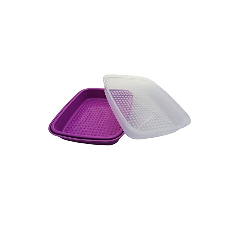 Tupperware Marinier Genie Grillprofi Marinier Fridge 1.9 Litres Grill Meat