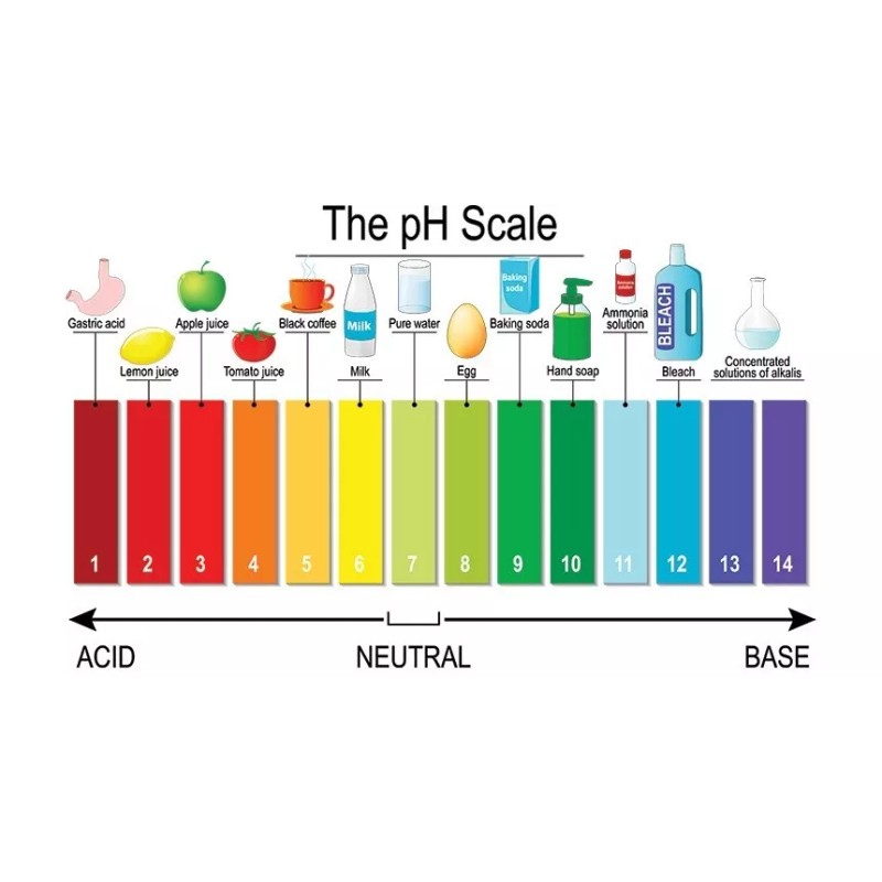 Unbranded 20 Pack 1600 Strips pH.1-14 Extensive Test Paper for