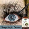 [100% natural] Eyebrow growth liquid whisker growth essence, Eyebrow Growth