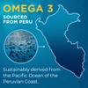 Omega 3 1000mg Capsules - 365 Fish Oil Tablets with