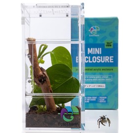 Jumping Spider Enclosure, Praying Mantis Habitat, Insect Terrarium, Bug Enclosure, Spider Cage, Jumping Spider Habitat, Spider Terrarium Kit, Praying Mantis Habitat, Arboreal Tarantula Enclosure