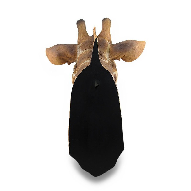Zeckos Giraffe Bust Exotic Trophy Head Wall Hanging Sculpture