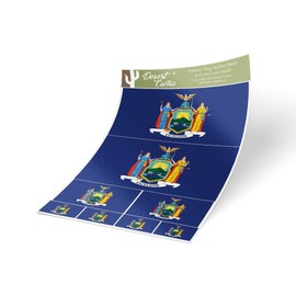 Desert Cactus New York NY State Flag Sticker Decal Variety Size Pack 8 Total Pieces Kids Logo Scrapbook Car Vinyl Window Bumper Laptop V