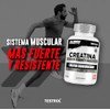 Testrol Creatina Essential Creatina Monohidratada Apoyo a Potencia, Resistencia y