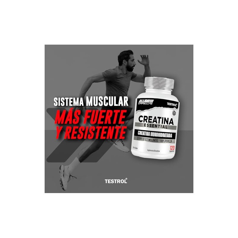Testrol Creatina Essential Creatina Monohidratada Apoyo a Potencia, Resistencia y