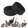 2 Pack Rooster Collar, Nylon Chicken Collar Anti Crow Rooster